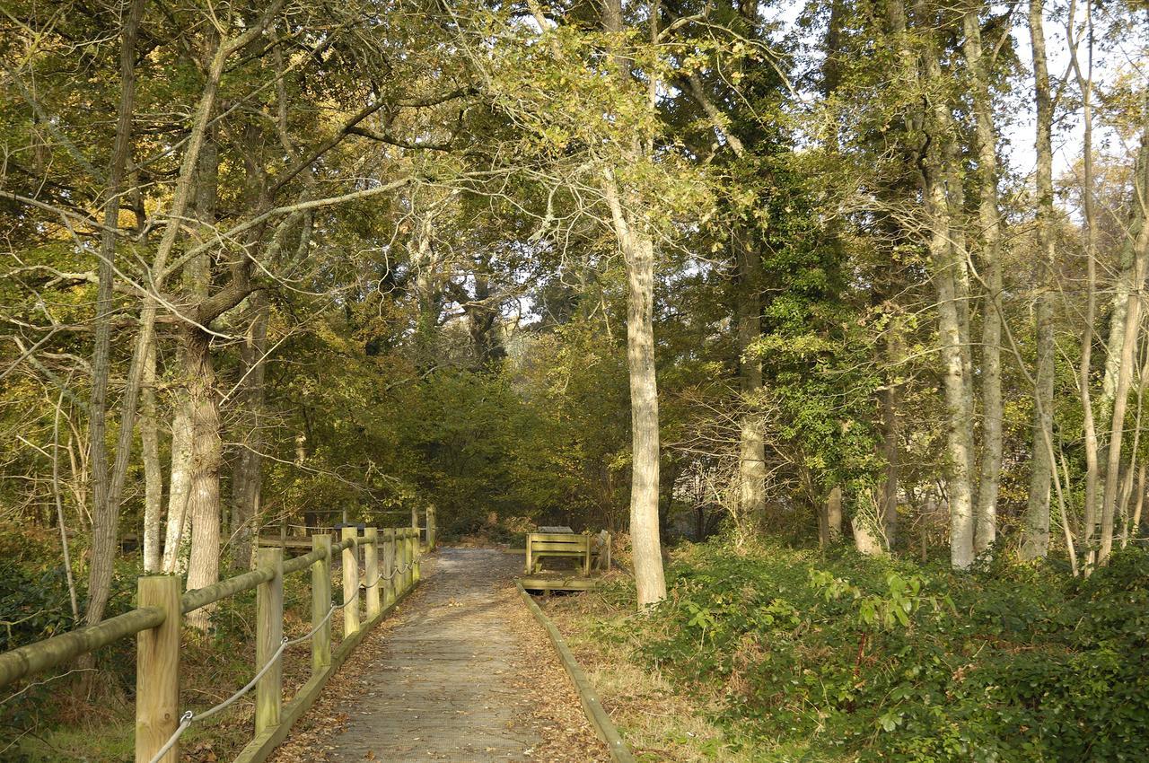 Domaine De Mont-Evray Hotel Nouan-le-Fuzelier Kültér fotó