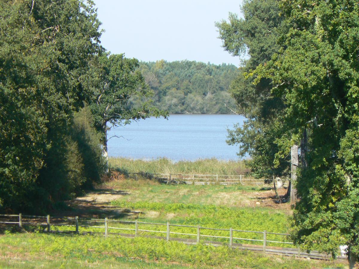 Domaine De Mont-Evray Hotel Nouan-le-Fuzelier Kültér fotó